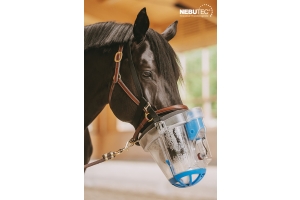 L'impact du stress sur l'inhalation des chevaux