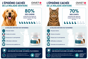 Santé bucco-dentaire des carnivores