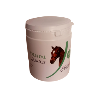 Dental Guard