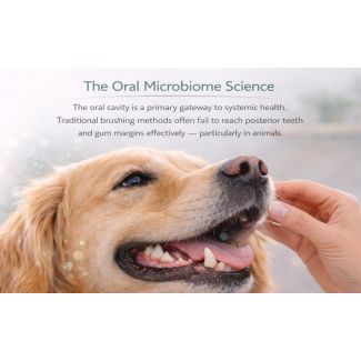 La cavité orale est la clef initiale pour la bonne santé. Le brossage des dents est aléatoire et ne permet pas un nettoyage efficaces des grosses molaires et des gencives.,.... à fortiori chez les animaux !