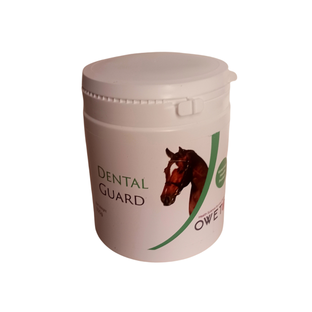 Dental Guard