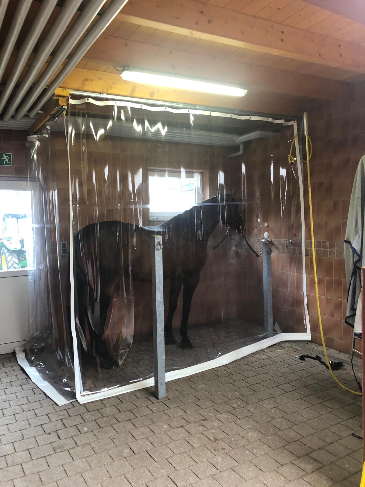 Optimiser l'inhalation équine : Aménagement de cabine & hygiène avec Biofresh / Equine Inhalation Cabin & Biofresh Hygiene Setup