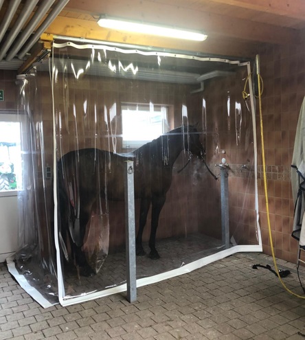 Inhalation des chevaux sans masques