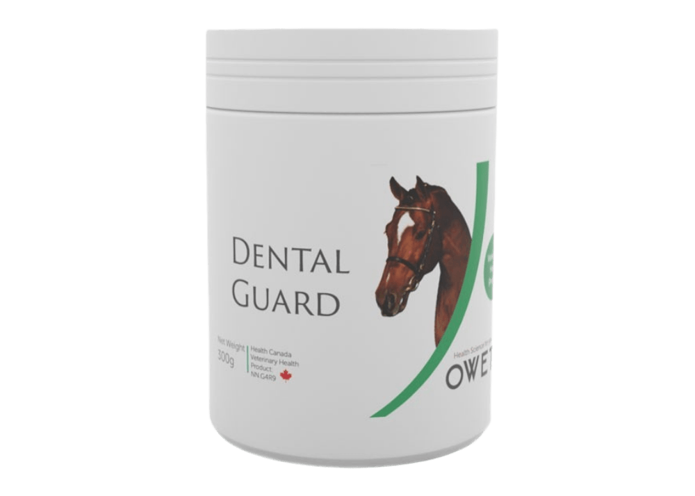 Dental Guard, hygiène bucco-dentaire pour cheval