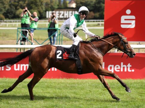 Pur-sang de course au galop sur une piste