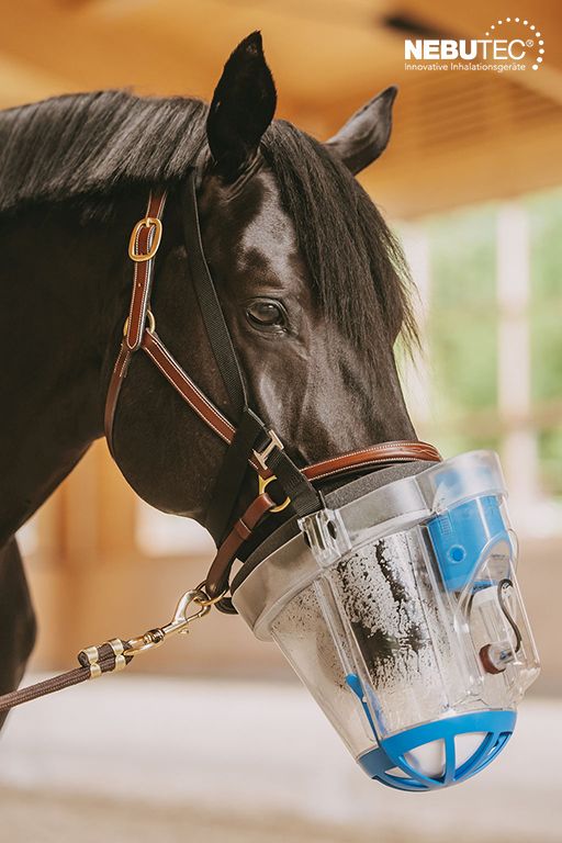 SaHoMa II, inhalateur individuel avec masque pour cheval