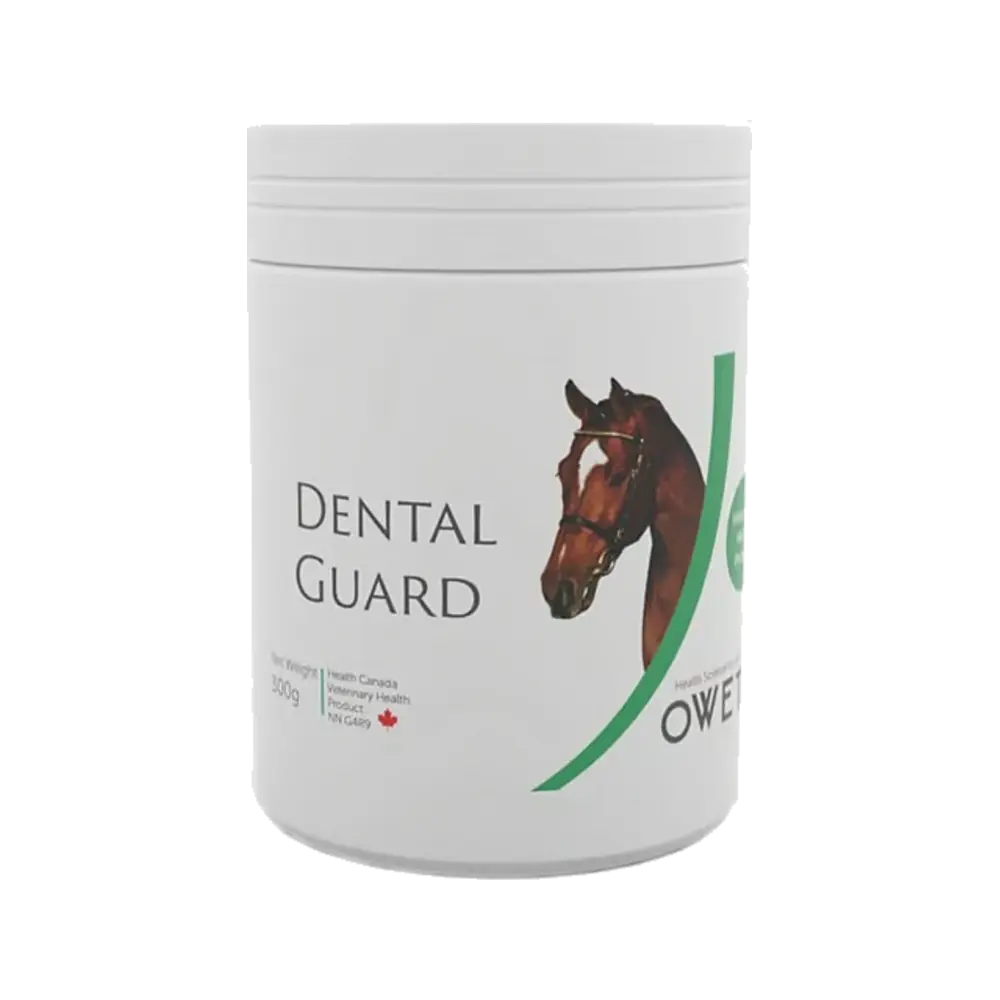 Dental Guard, hygiène bucco-dentaire pour cheval
