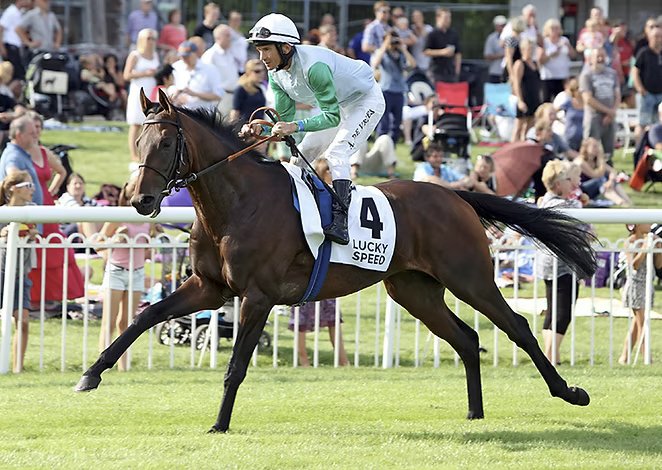Lucky Speed, un étalon PS unique en Europe