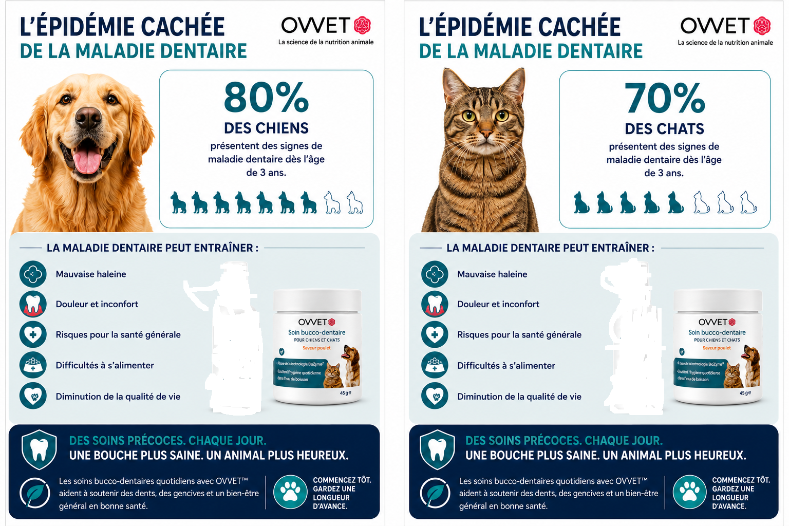 Santé bucco-dentaire des carnivores