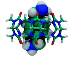 Utiliser le BIOFRESH equine contre les méfaits d'Aspergillus ! Using the Equine Biofresh against Aspergillus.
